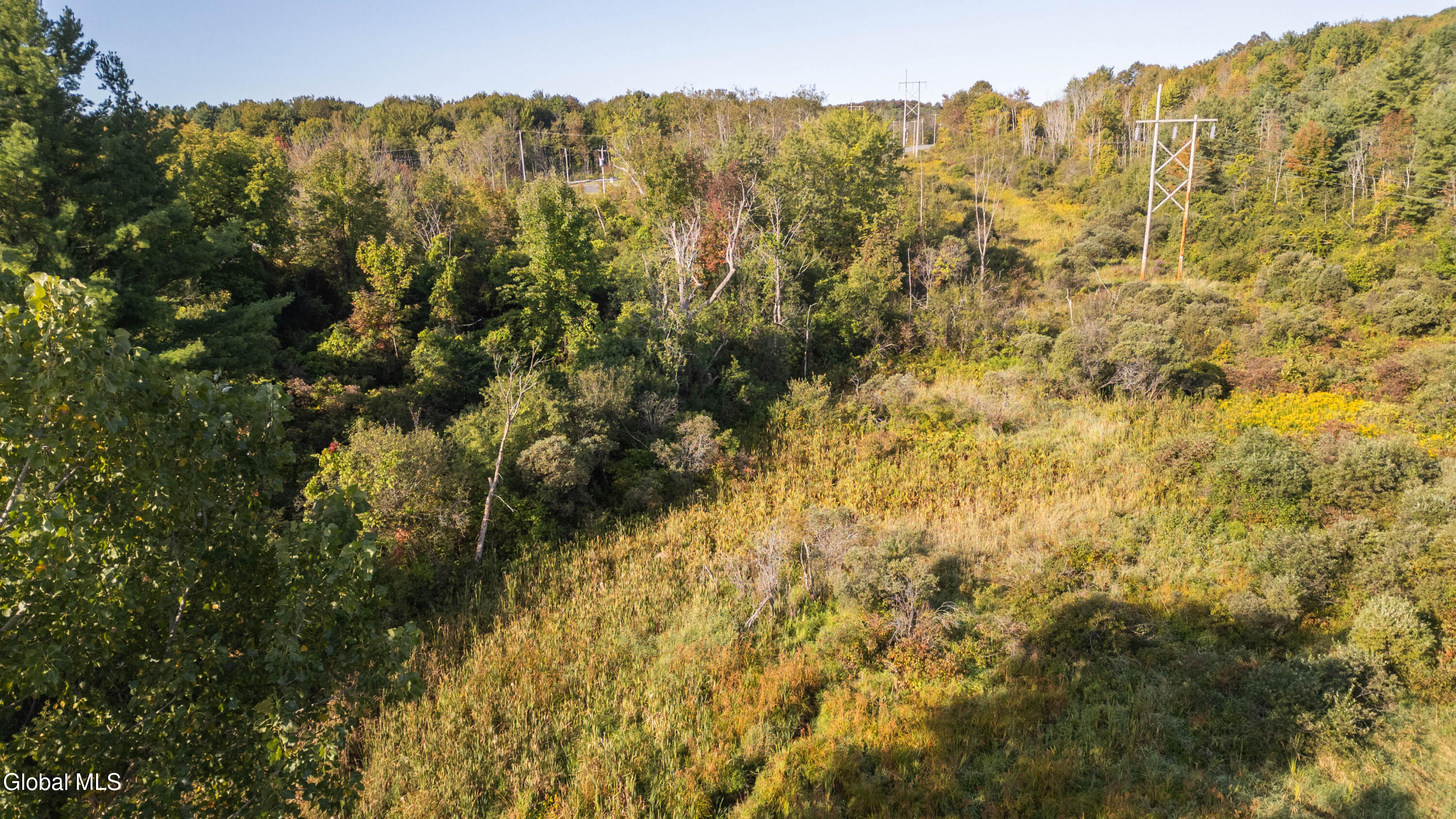 219 Mudge Road Duanesburg, NY 12053 - Photo 11 of 49 219 Mudge Road-41
