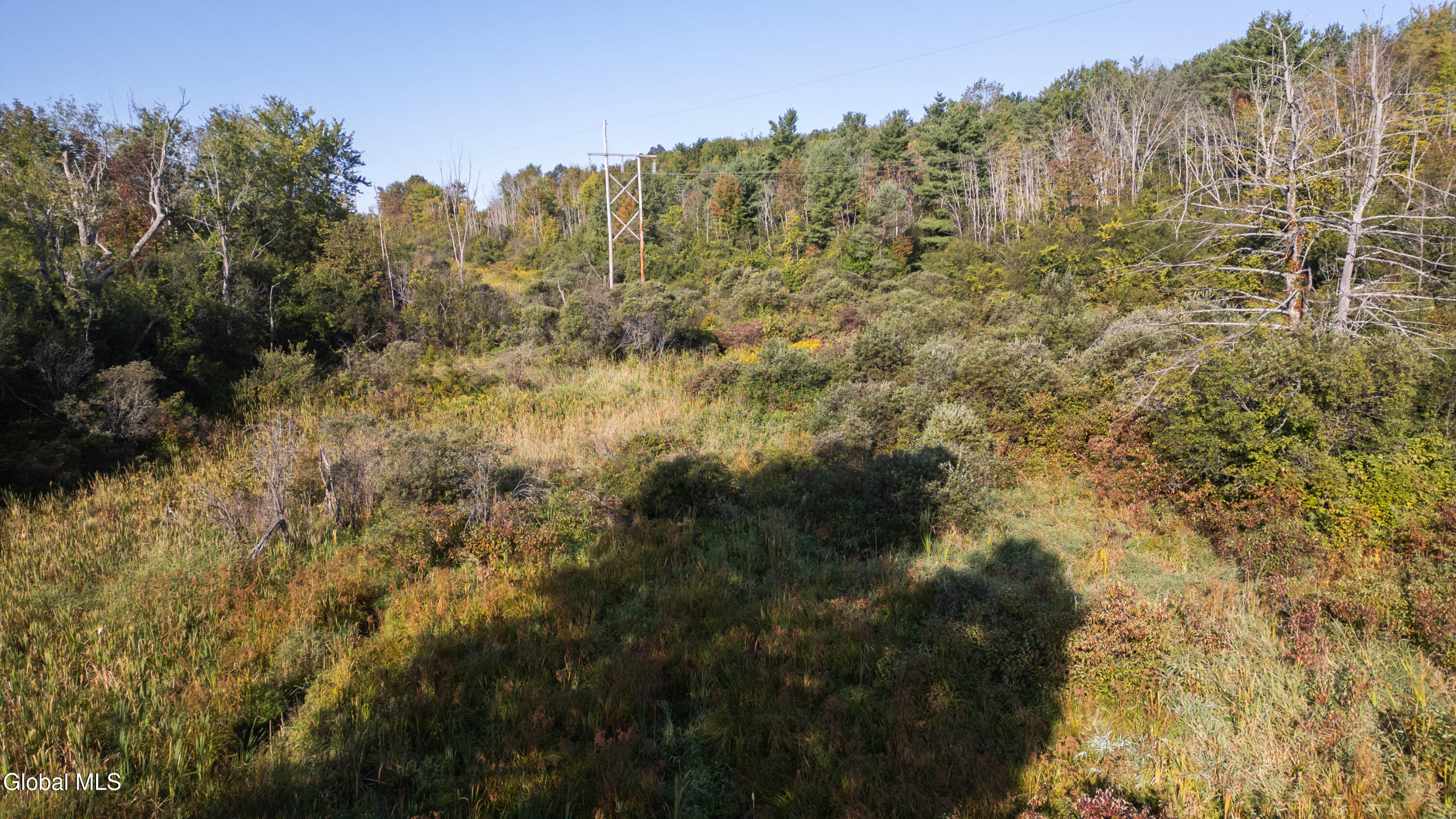 219 Mudge Road Duanesburg, NY 12053 - Photo 12 of 49 219 Mudge Road-40