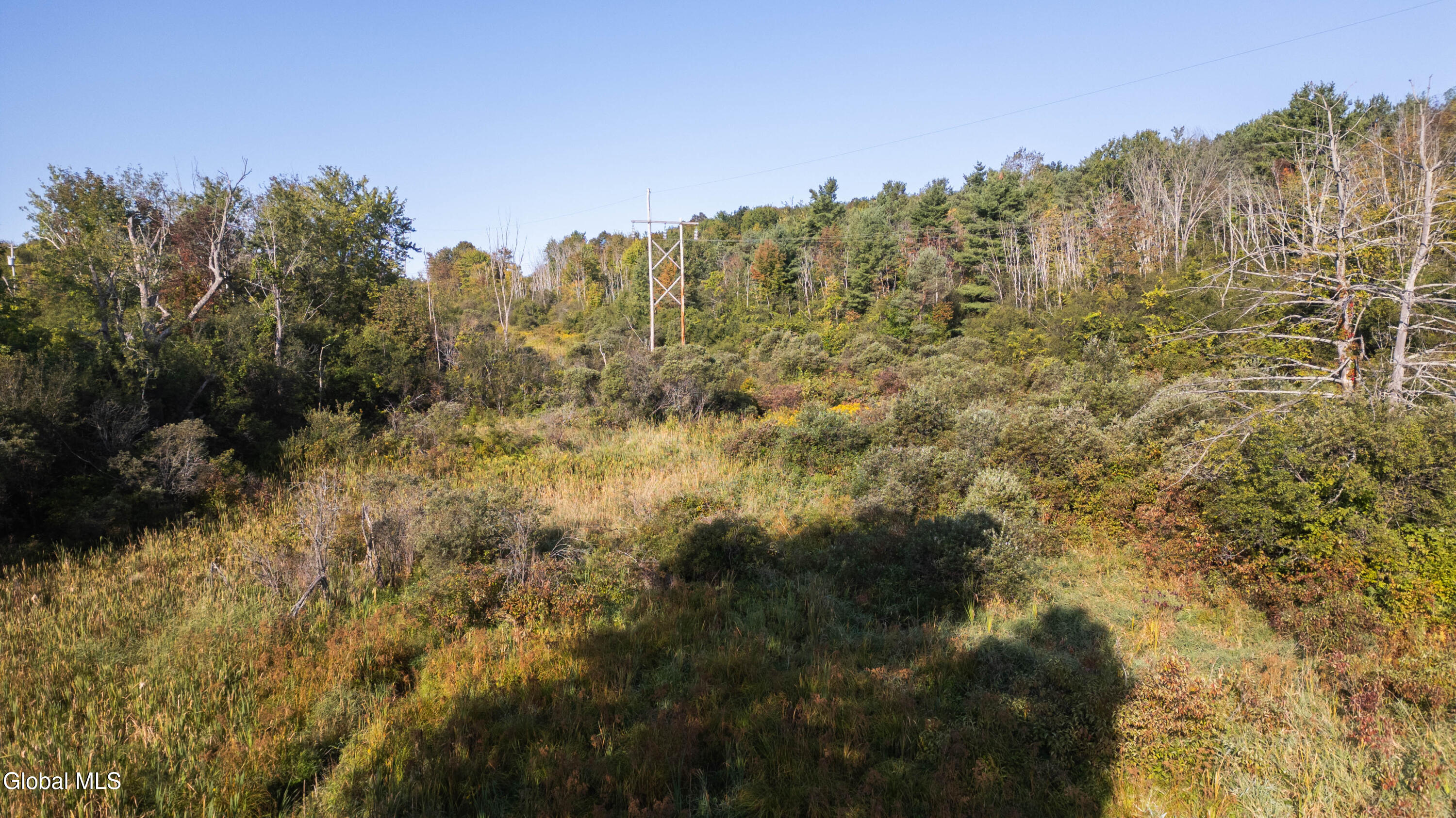 219 Mudge Road Duanesburg, NY 12053 - Photo 13 of 49 219 Mudge Road-39