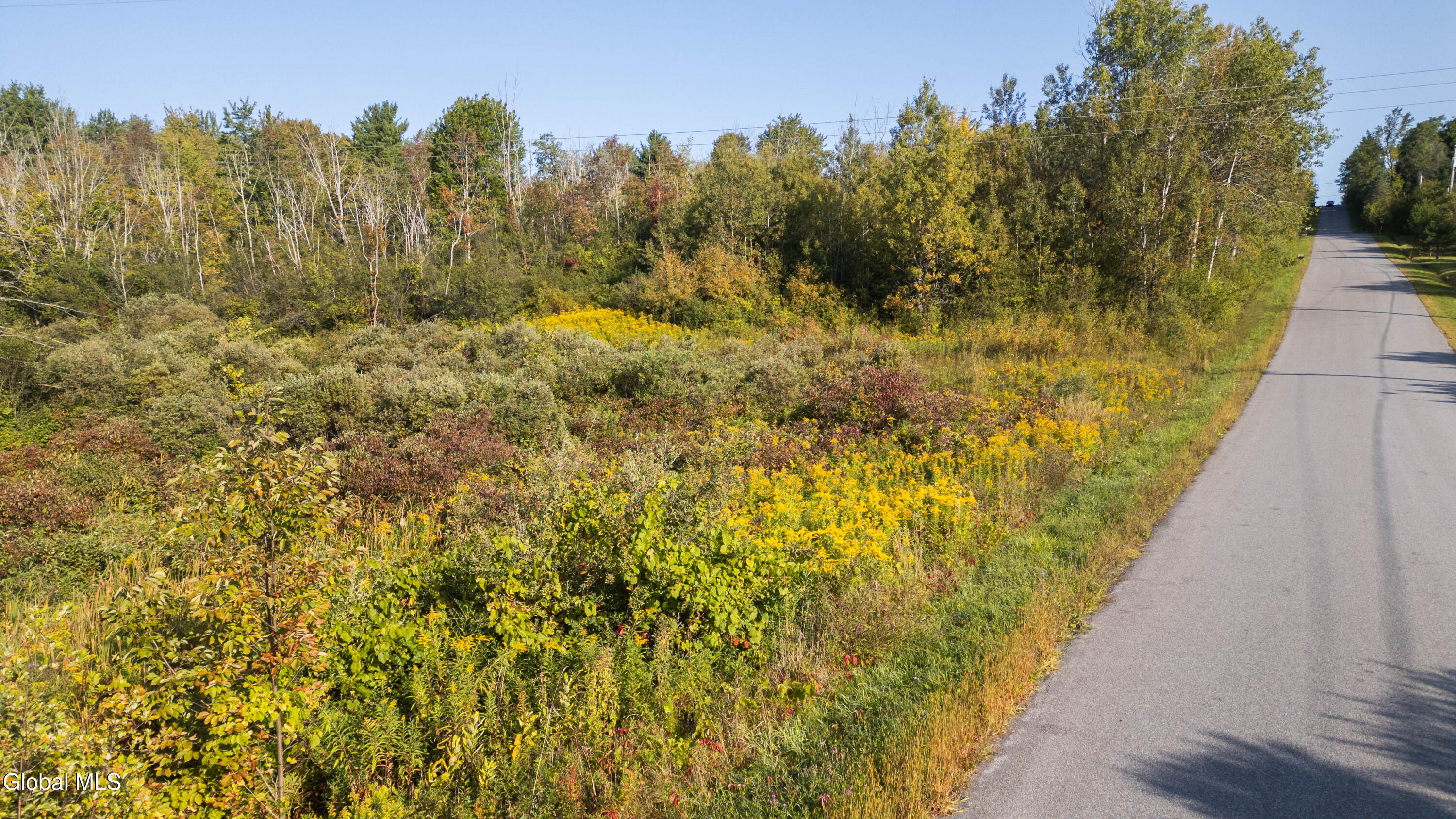 219 Mudge Road Duanesburg, NY 12053 - Photo 14 of 49 219 Mudge Road-38