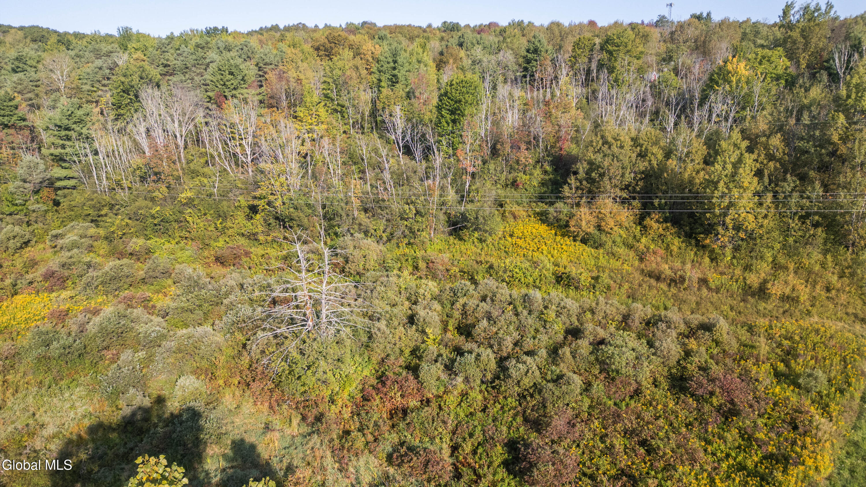 219 Mudge Road Duanesburg, NY 12053 - Photo 16 of 49 219 Mudge Road-32