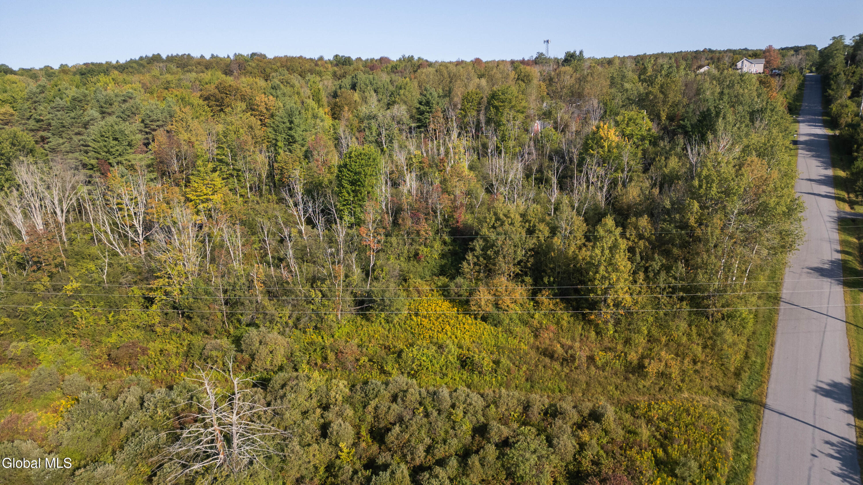219 Mudge Road Duanesburg, NY 12053 - Photo 18 of 49 219 Mudge Road-34