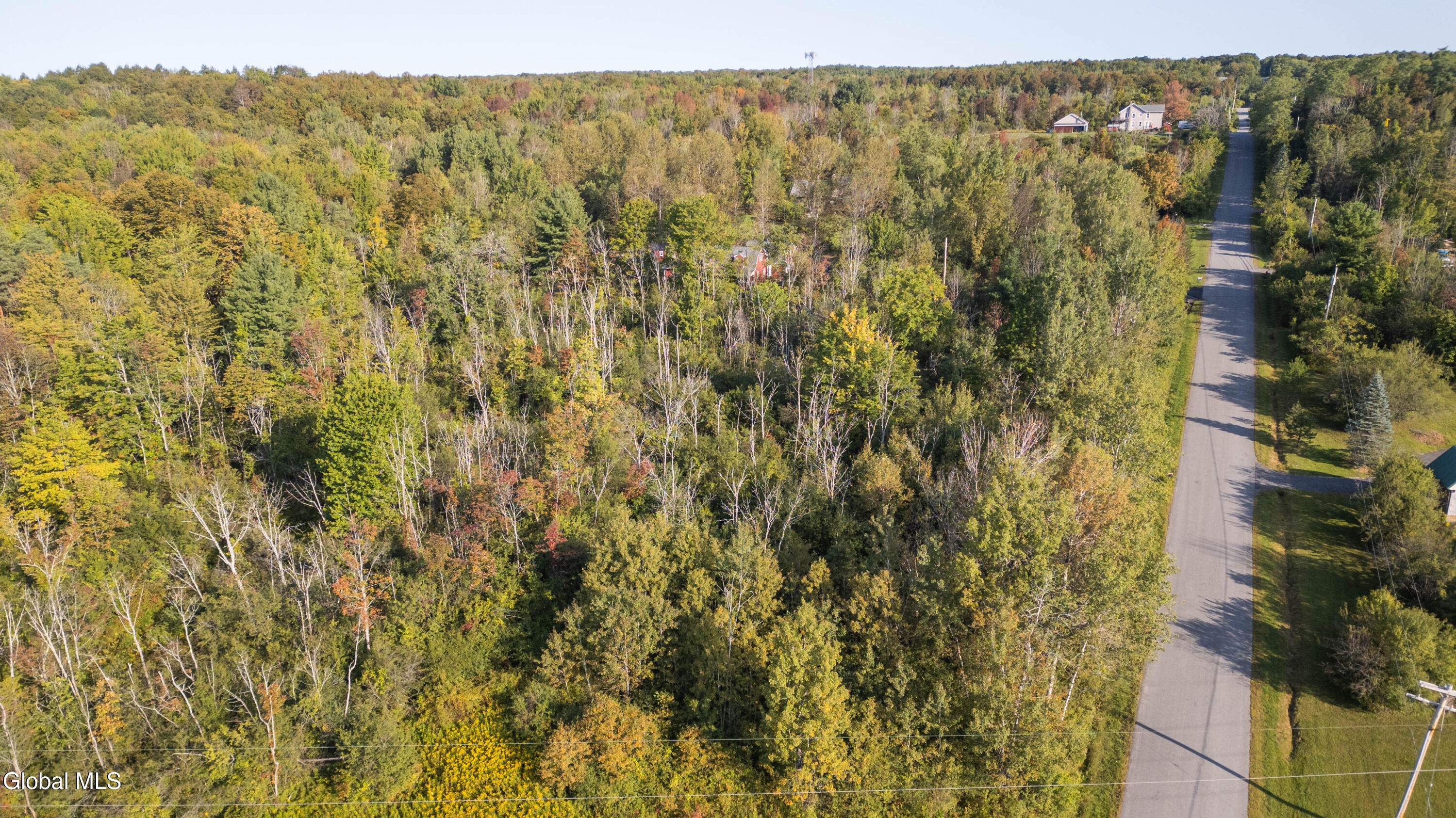 219 Mudge Road Duanesburg, NY 12053 - Photo 29 of 49 219 Mudge Road-25