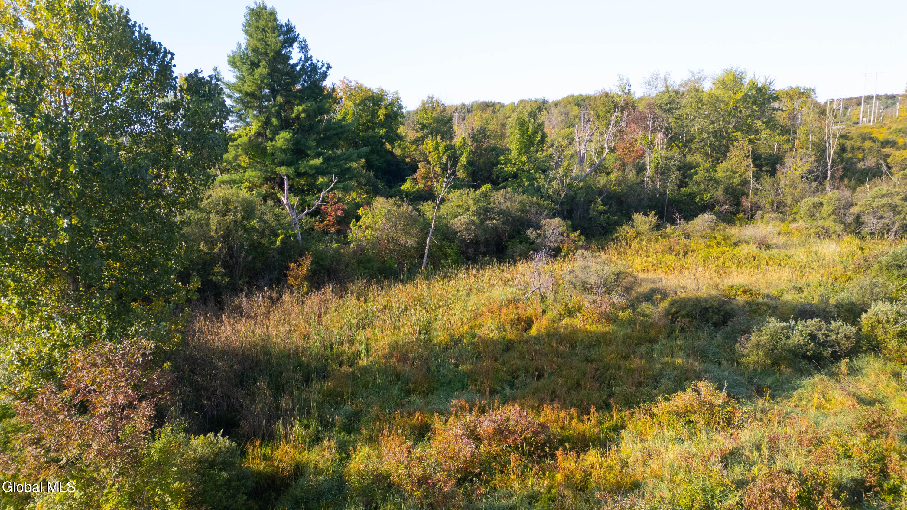 219 Mudge Road Duanesburg, NY 12053 - Photo 31 of 49 219 Mudge Road-21