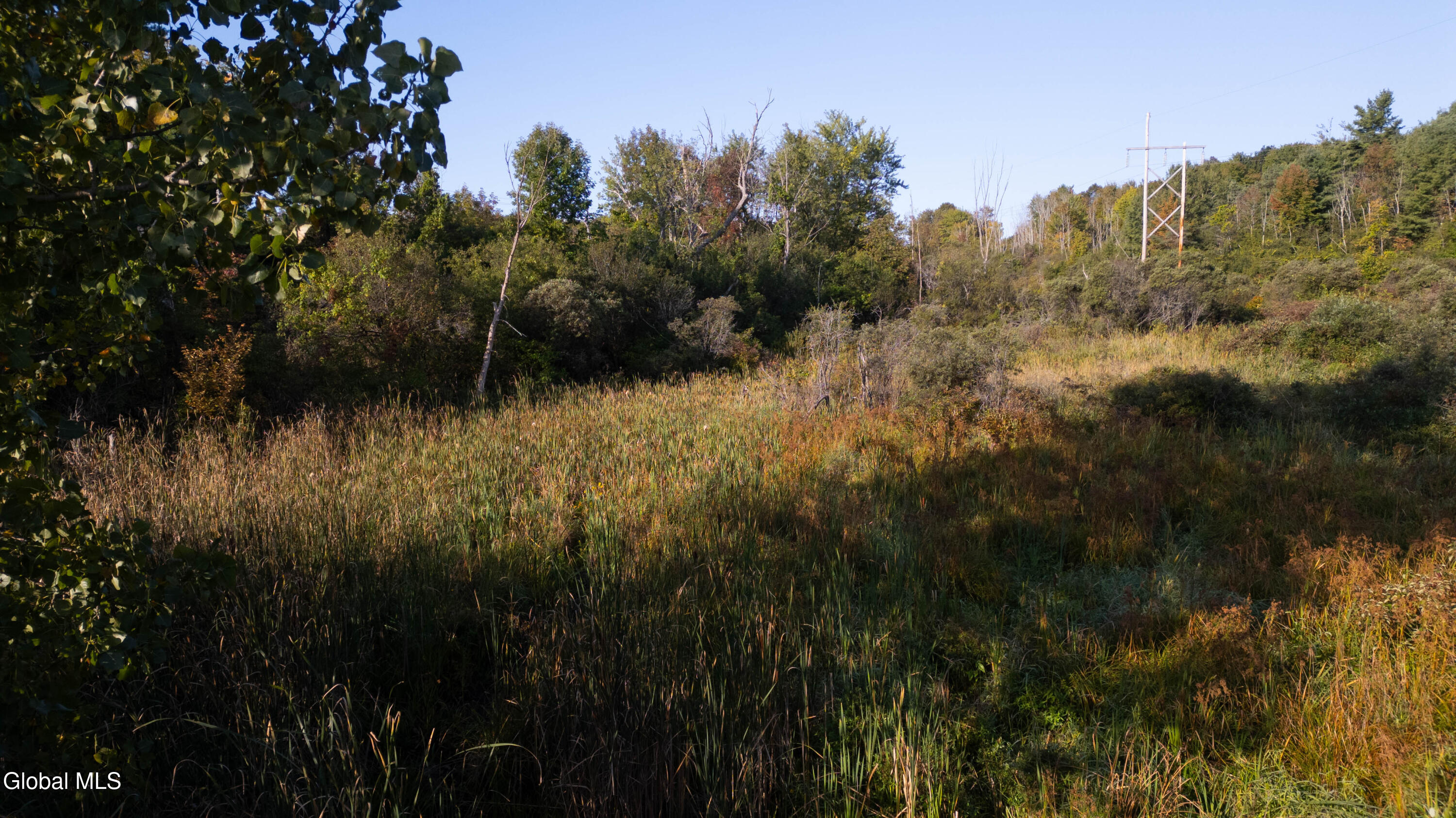 219 Mudge Road Duanesburg, NY 12053 - Photo 32 of 49 219 Mudge Road-20