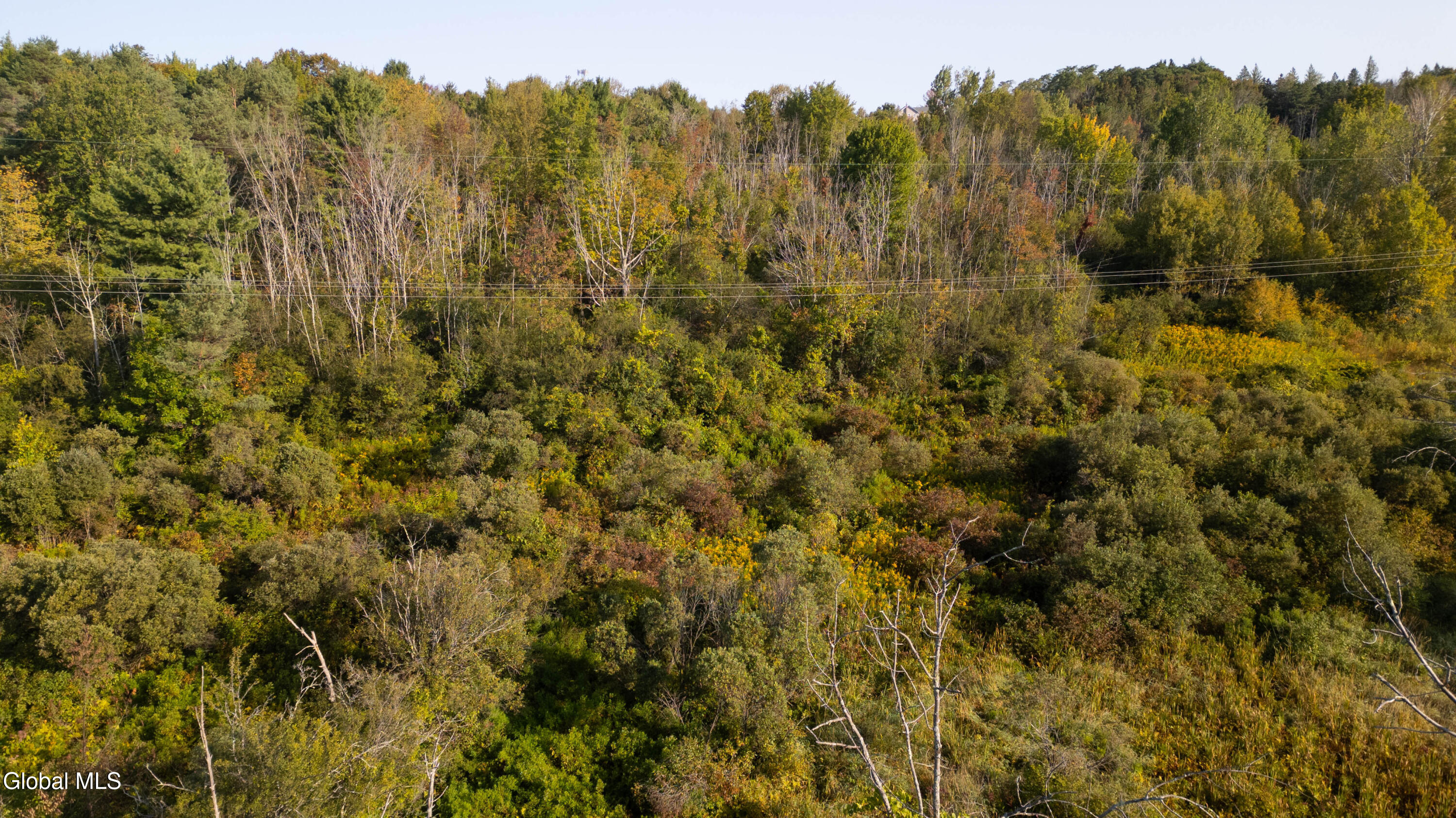 219 Mudge Road Duanesburg, NY 12053 - Photo 33 of 49 219 Mudge Road-18