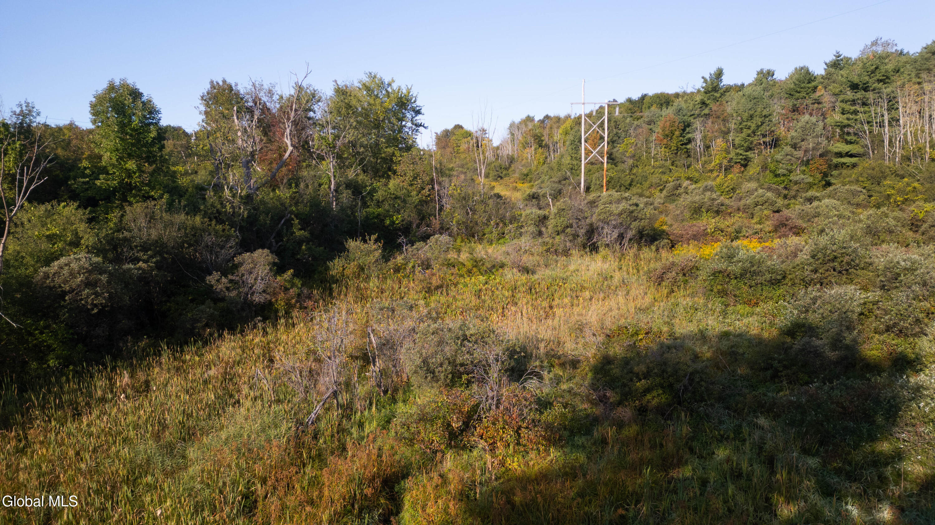 219 Mudge Road Duanesburg, NY 12053 - Photo 34 of 49 219 Mudge Road-19