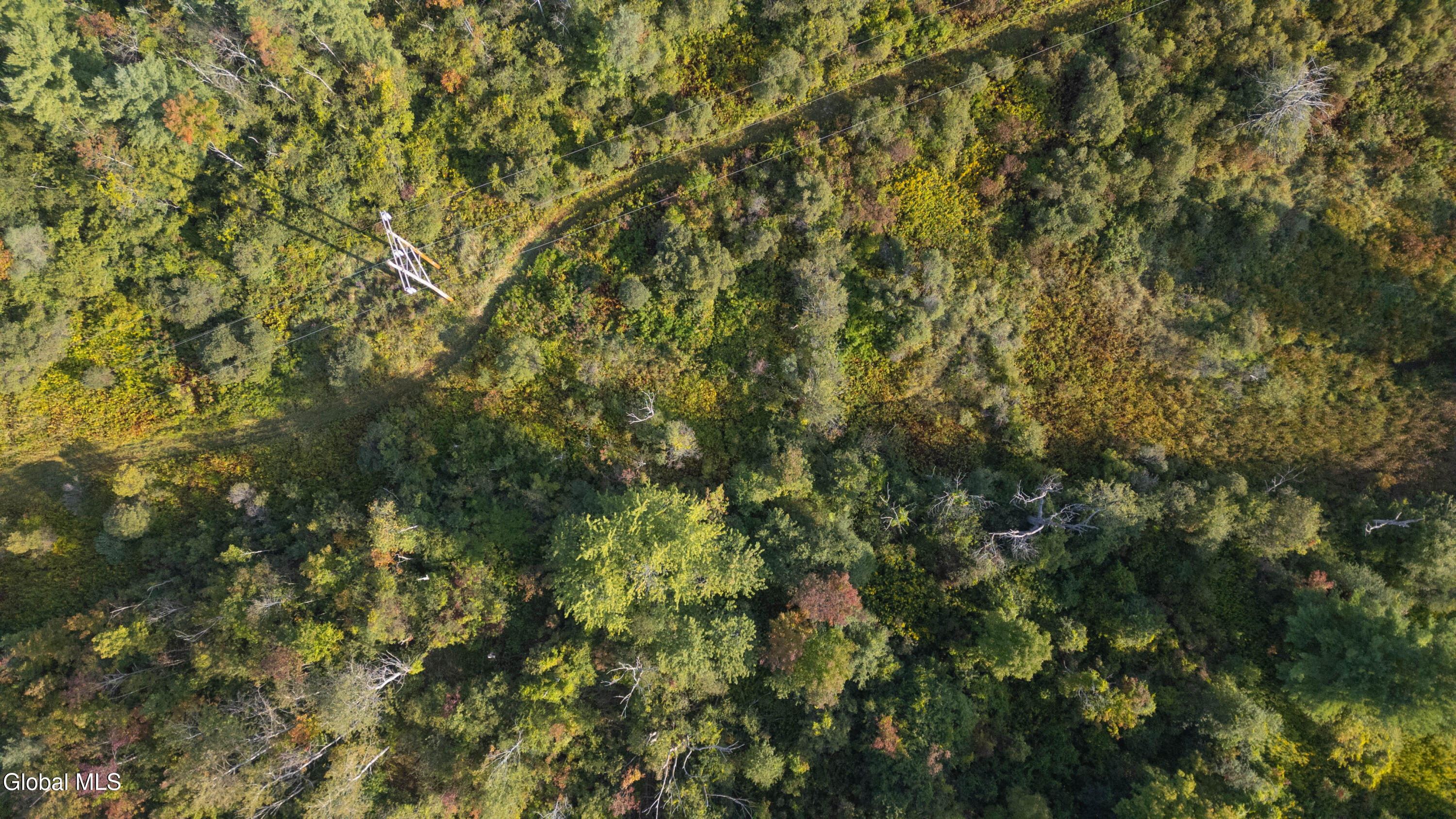 219 Mudge Road Duanesburg, NY 12053 - Photo 35 of 49 219 Mudge Road-17