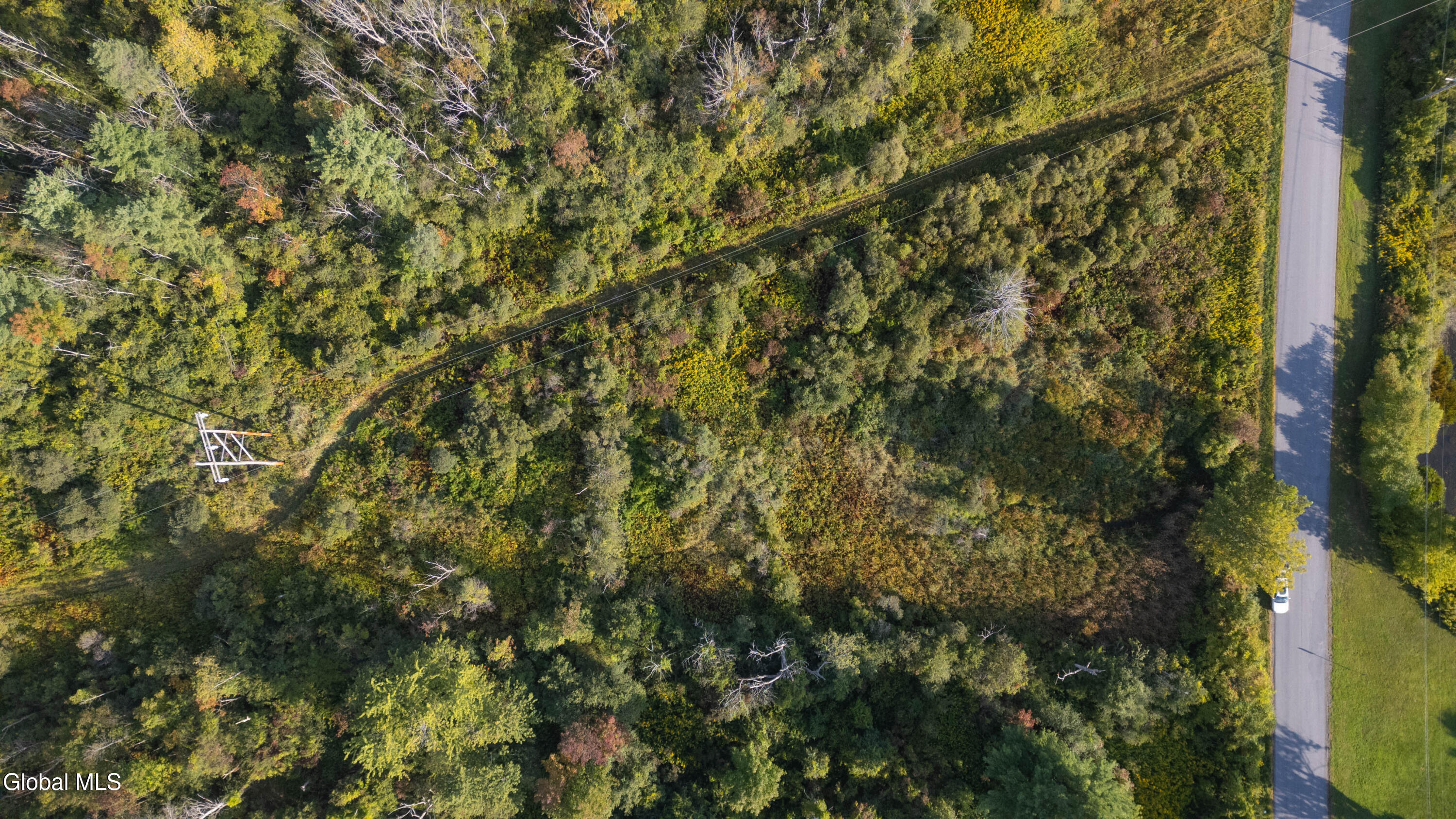 219 Mudge Road Duanesburg, NY 12053 - Photo 39 of 49 219 Mudge Road-15