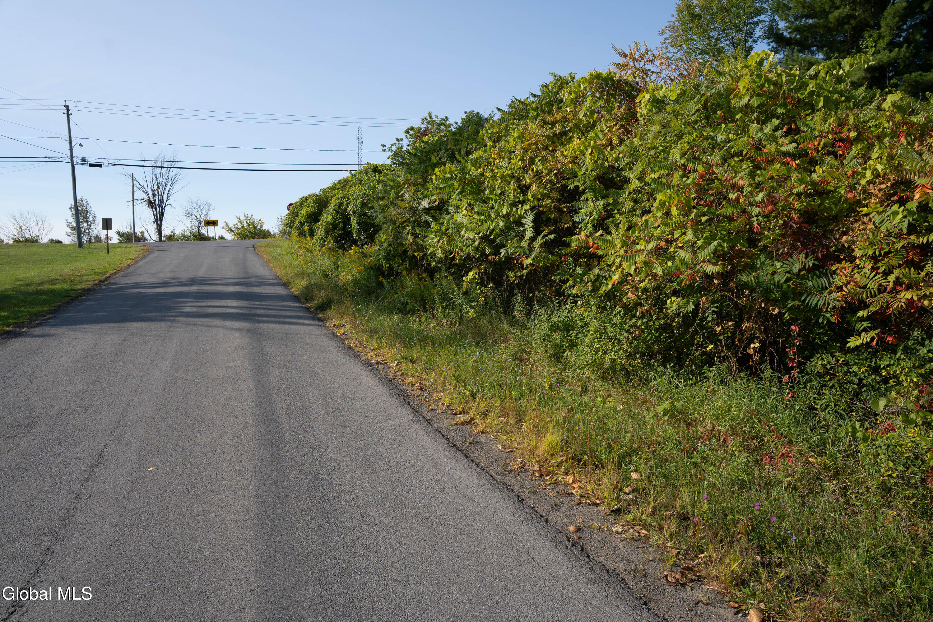 219 Mudge Road Duanesburg, NY 12053 - Photo 42 of 49 219 Mudge Road-10