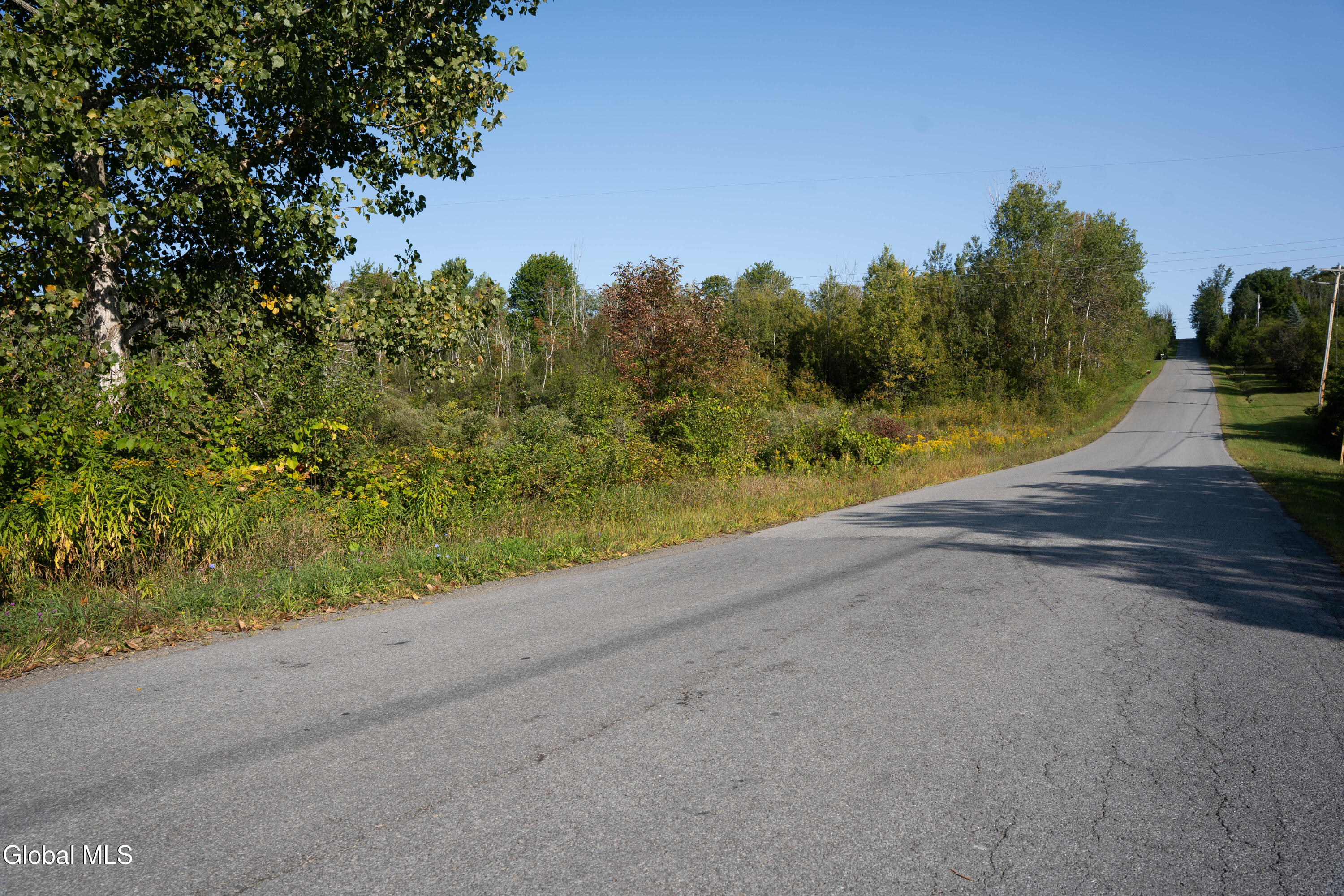 219 Mudge Road Duanesburg, NY 12053 - Photo 44 of 49 219 Mudge Road-8