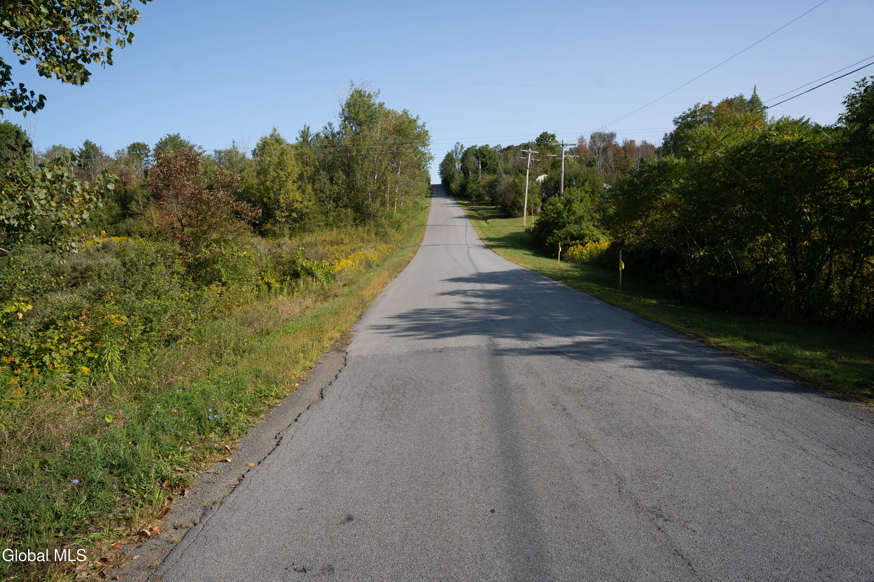 219 Mudge Road Duanesburg, NY 12053 - Photo 45 of 49 219 Mudge Road-7