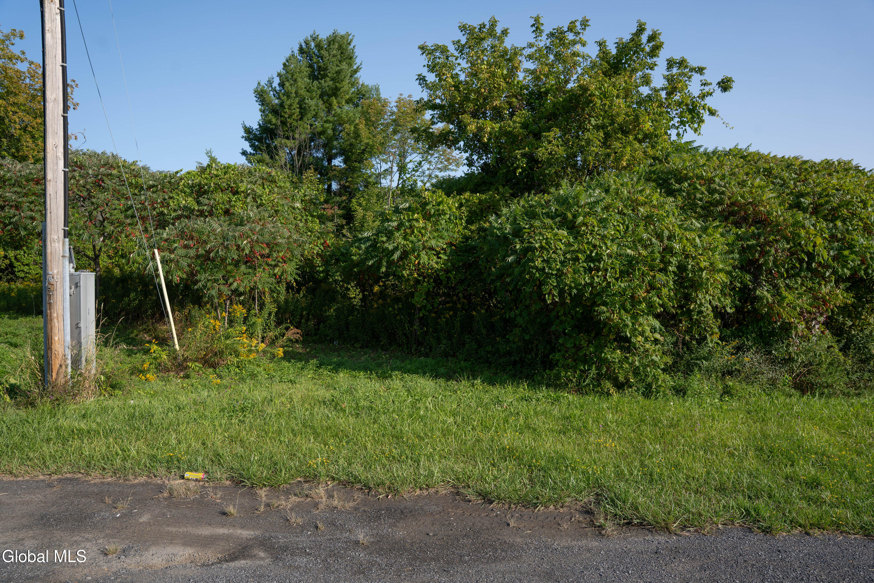 219 Mudge Road Duanesburg, NY 12053 - Photo 46 of 49 219 Mudge Road-3