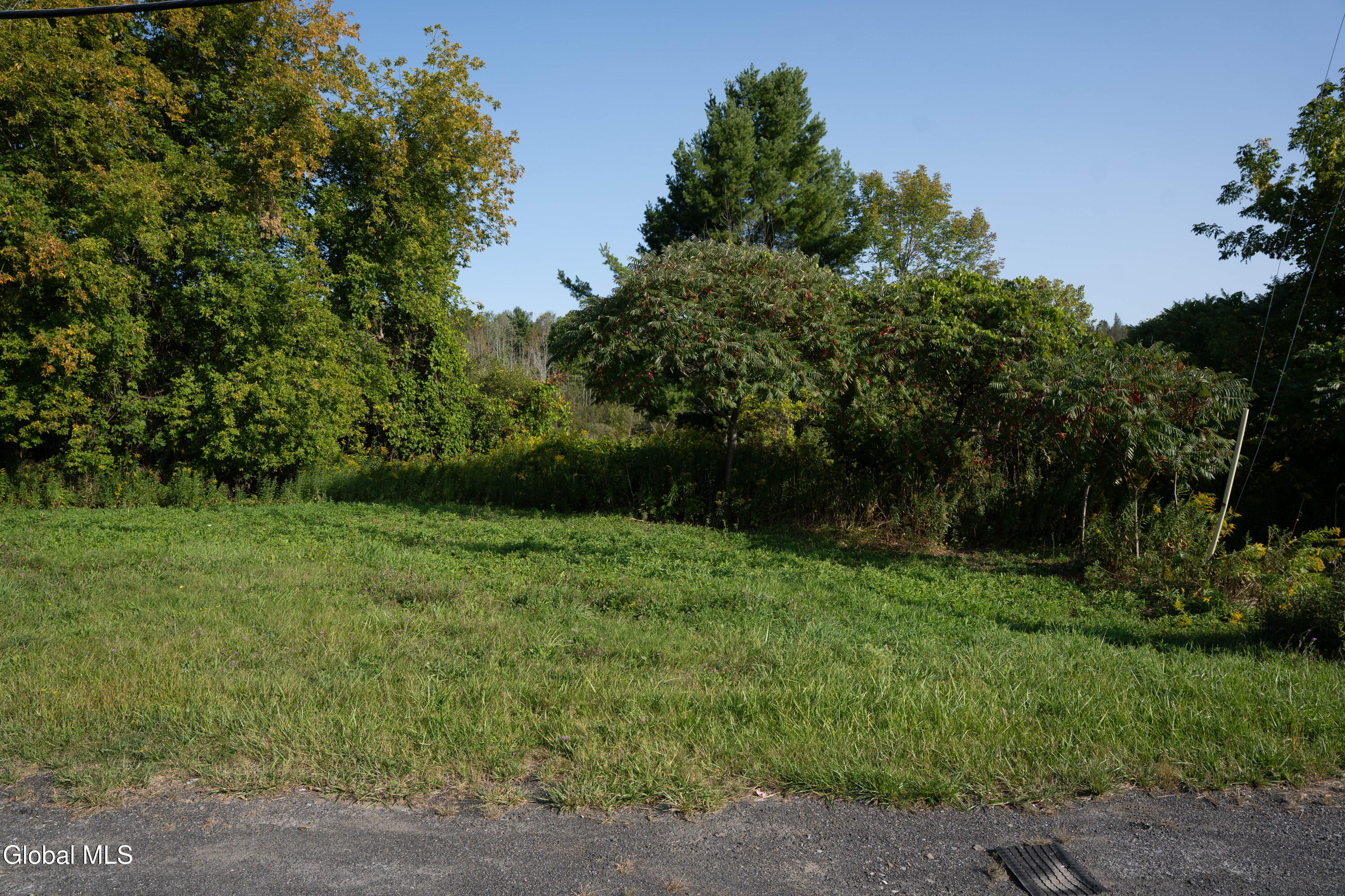 219 Mudge Road Duanesburg, NY 12053 - Photo 47 of 49 219 Mudge Road-4