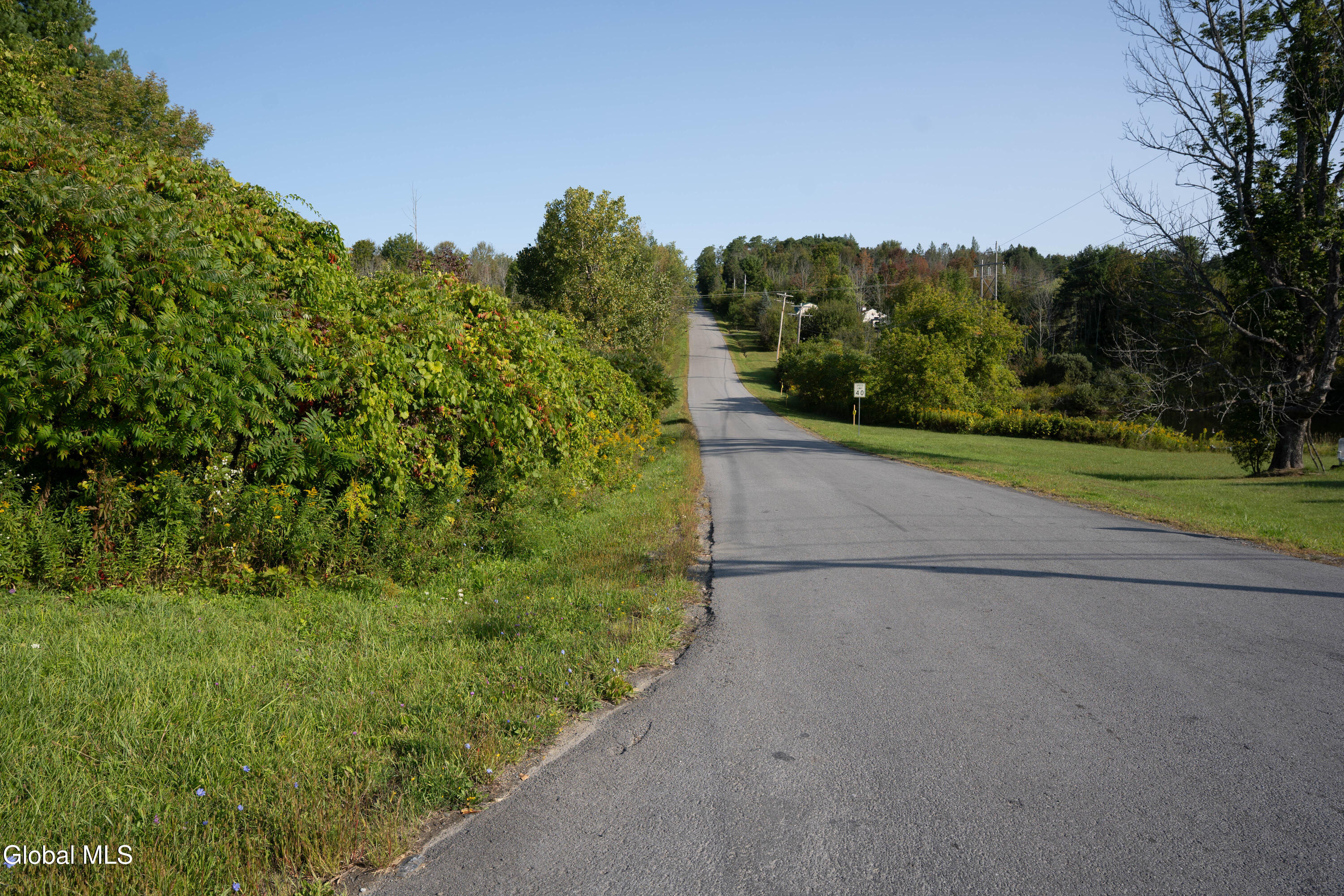 219 Mudge Road Duanesburg, NY 12053 - Photo 48 of 49 219 Mudge Road-5