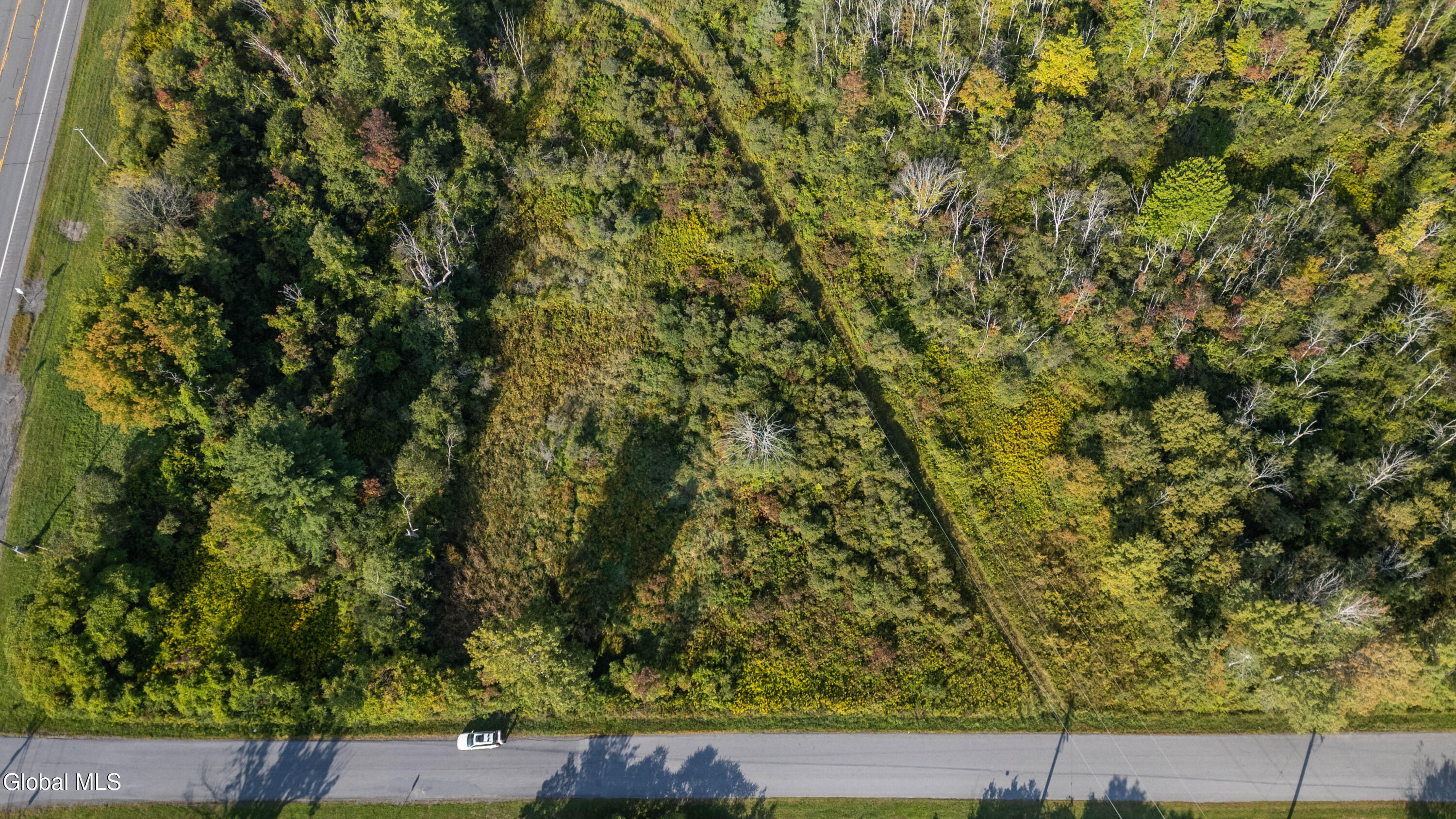 219 Mudge Road Duanesburg, NY 12053 - Photo 5 of 49 219 Mudge Road-47