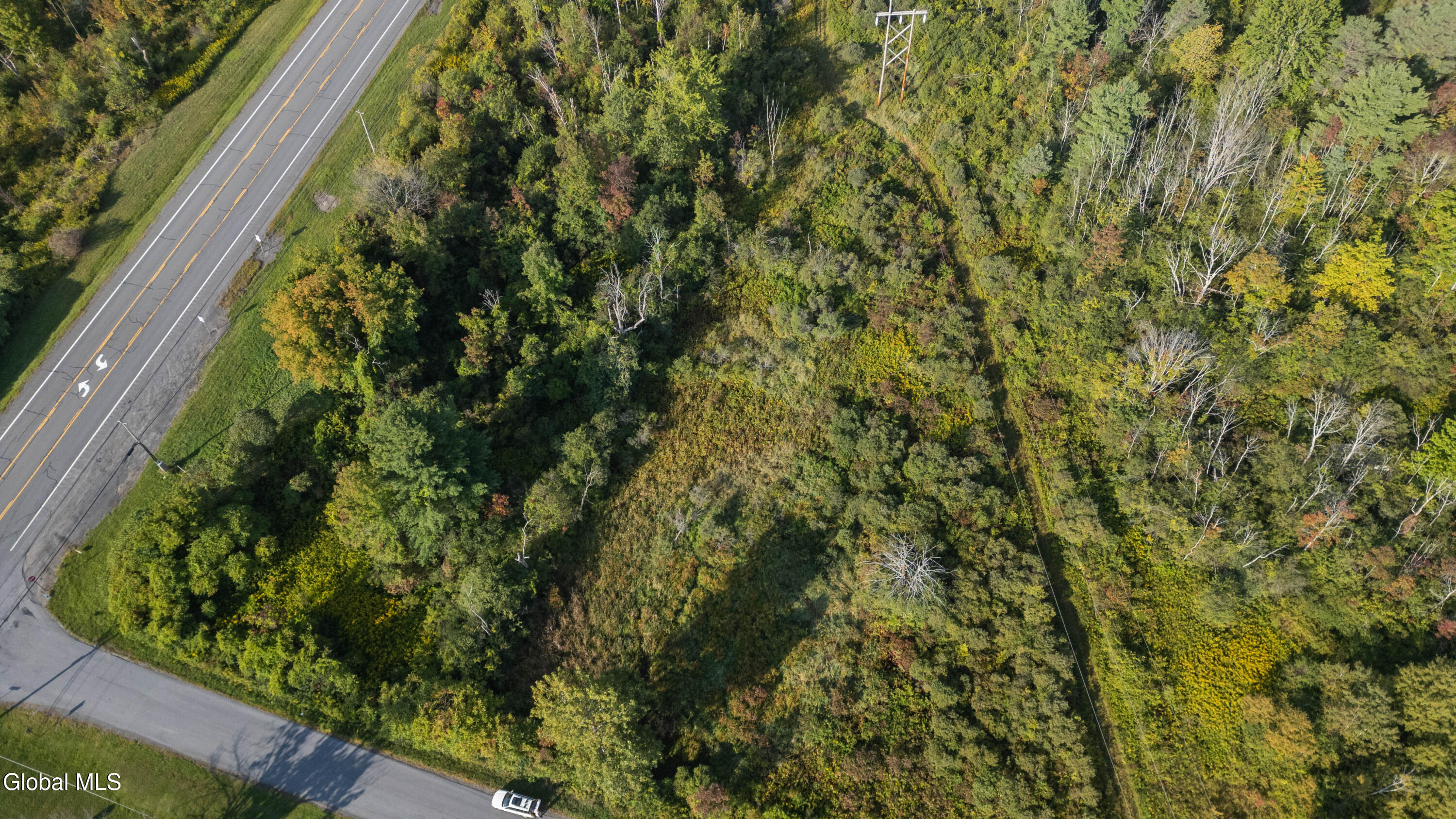 219 Mudge Road Duanesburg, NY 12053 - Photo 9 of 49 219 Mudge Road-45