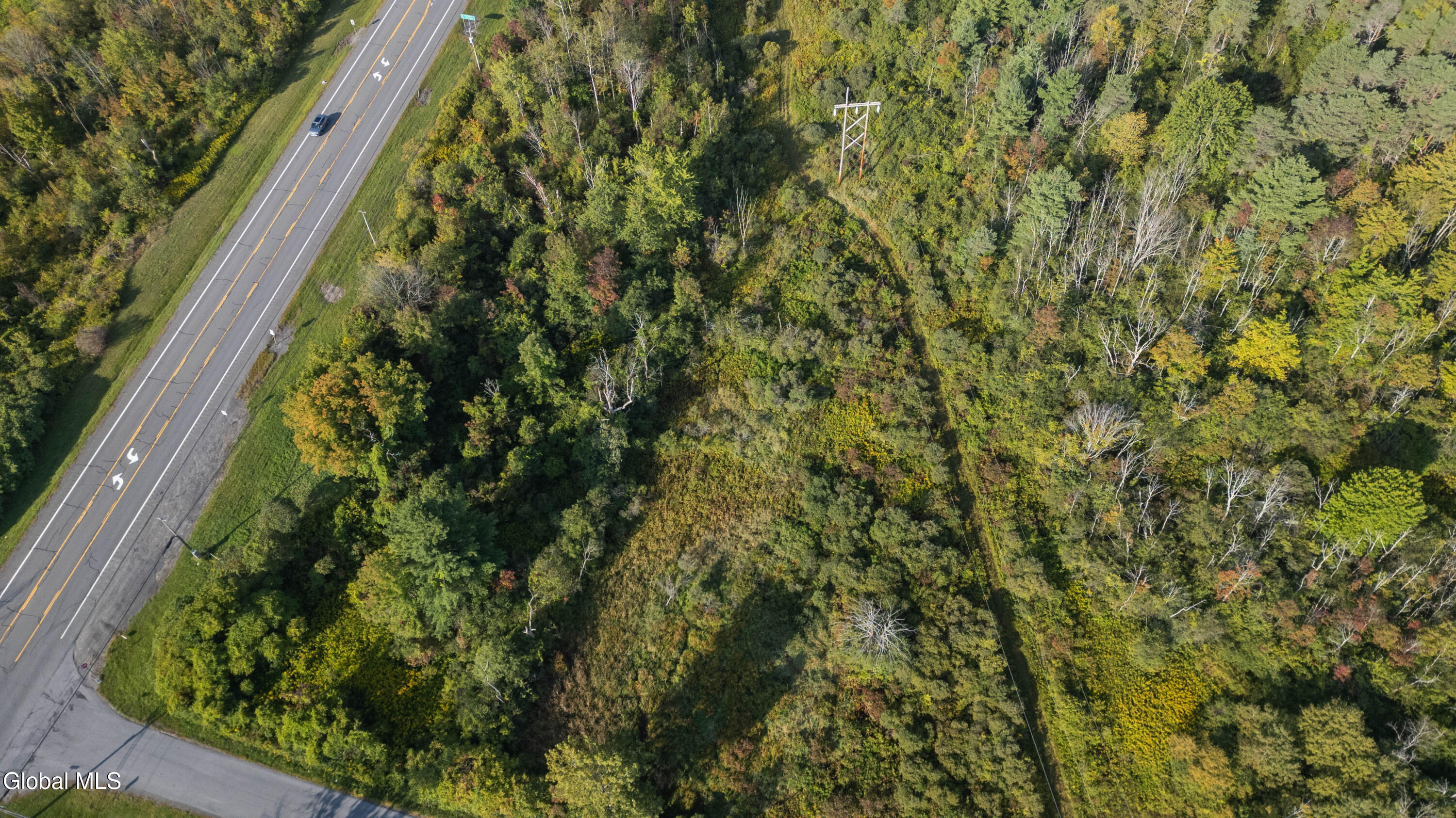 219 Mudge Road Duanesburg, NY 12053 - Photo 10 of 49 219 Mudge Road-46