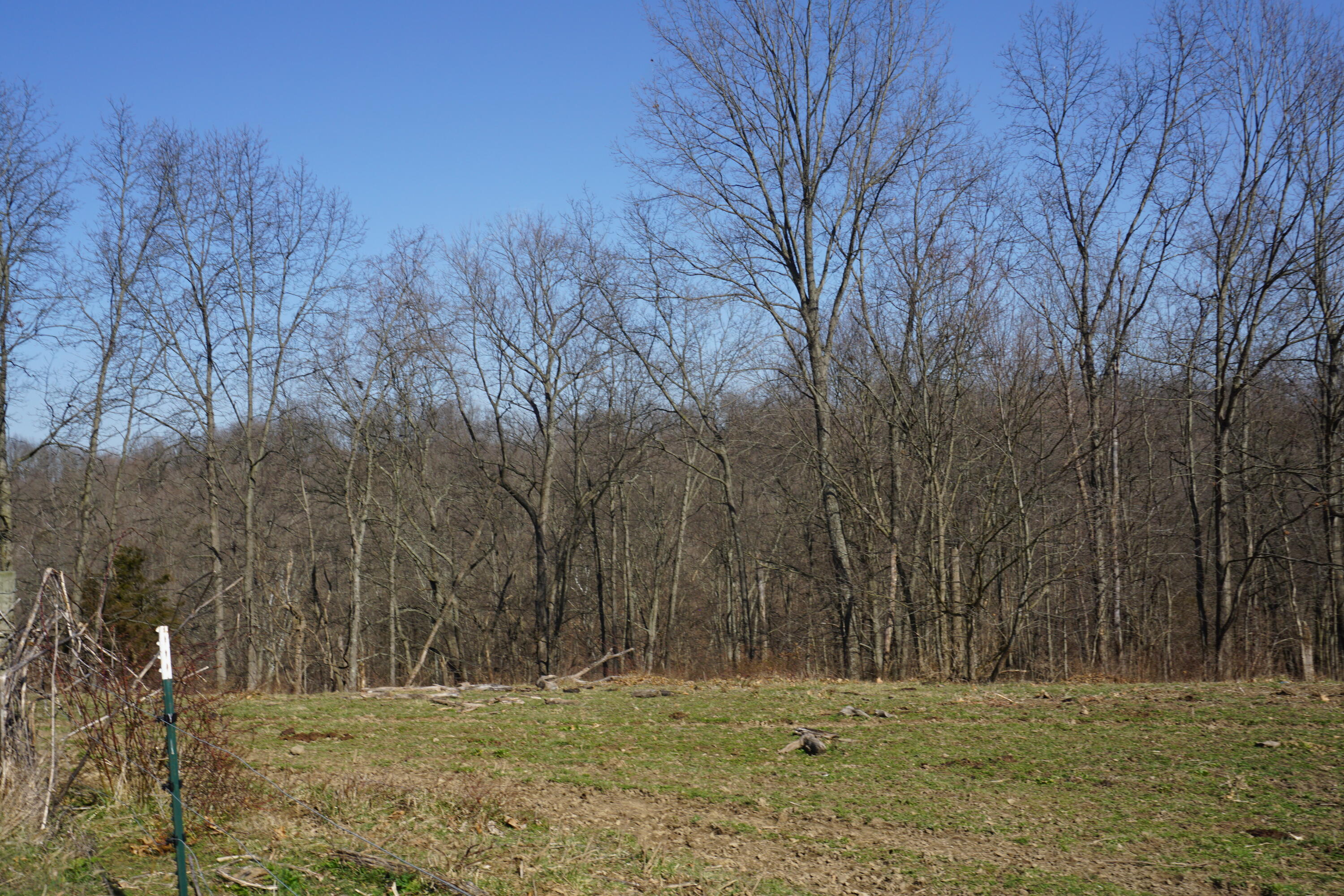 420 Sugar Creek Road Dry Ridge, KY 41035 - Photo 12 of 41