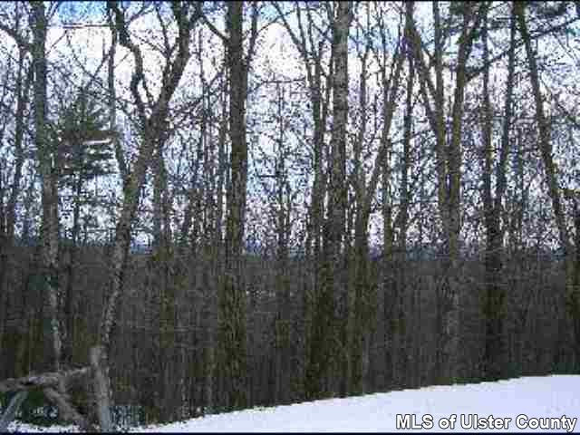 65 Bush Road Stone Ridge, NY 12484 - Photo 1 of 4 Photo 2