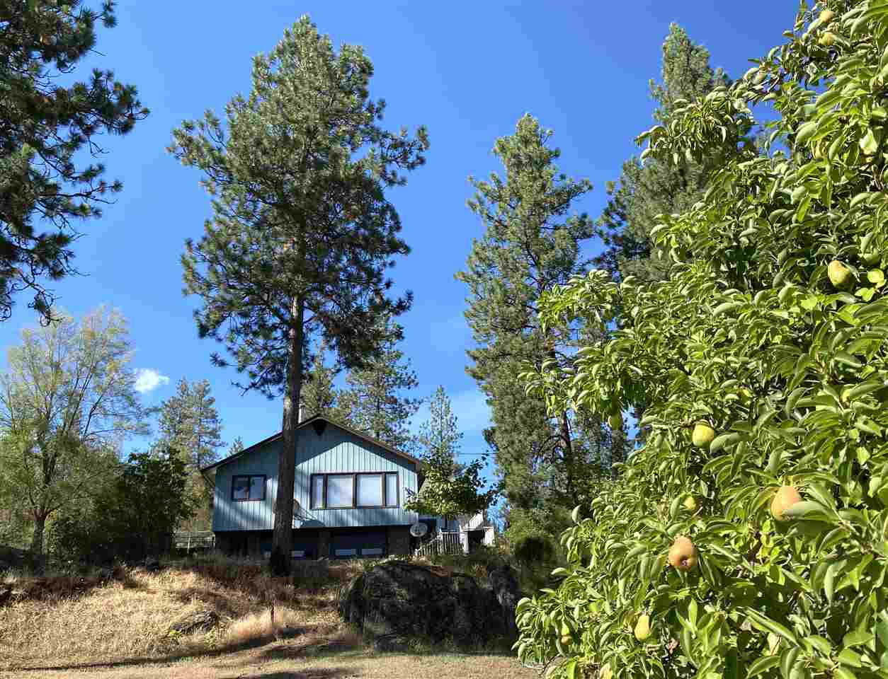 18615 North Division Road Colbert, WA 99005 - Photo 31 of 37