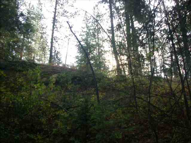 5101 Rail Canyon Road Springdale, WA 99173 - Photo 2 of 8