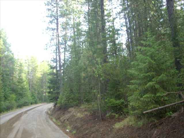 5101 Rail Canyon Road Springdale, WA 99173 - Photo 7 of 8