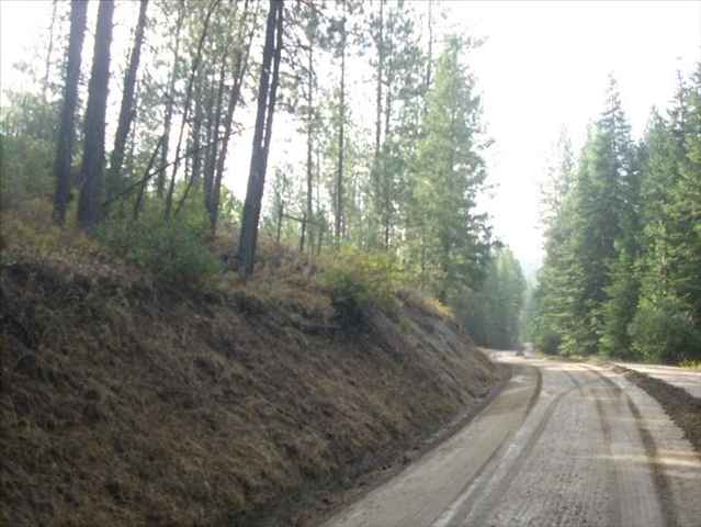 5101 Rail Canyon Road Springdale, WA 99173 - Photo 8 of 8