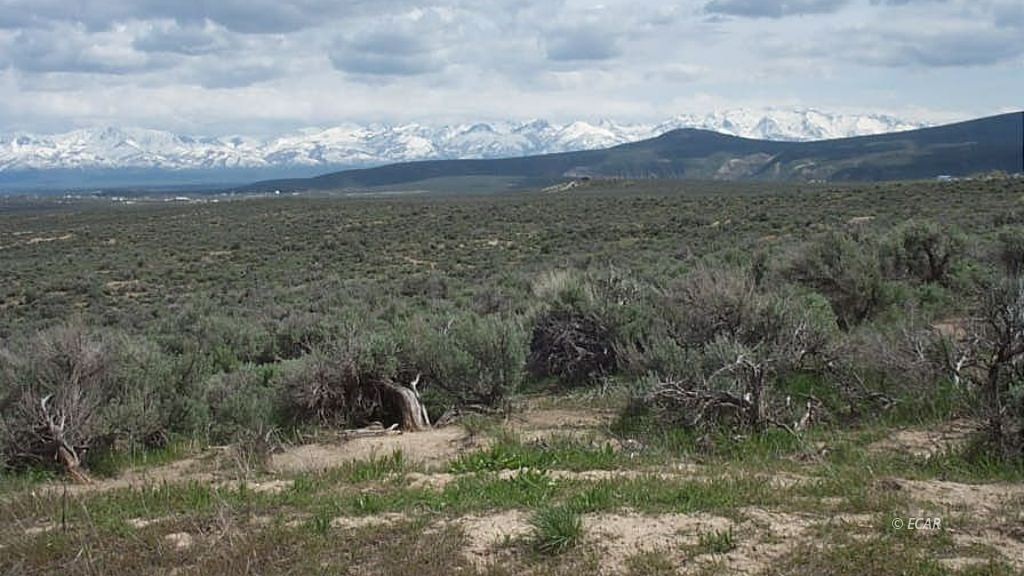 19.4-ac Maple Street Elko, NV 89801 - Photo 1 of 1