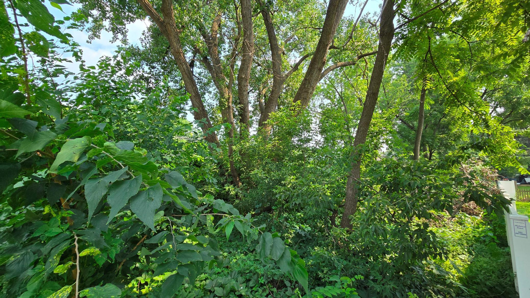 3949 Douglas Drive North Crystal, MN 55427 - Photo 4 of 9