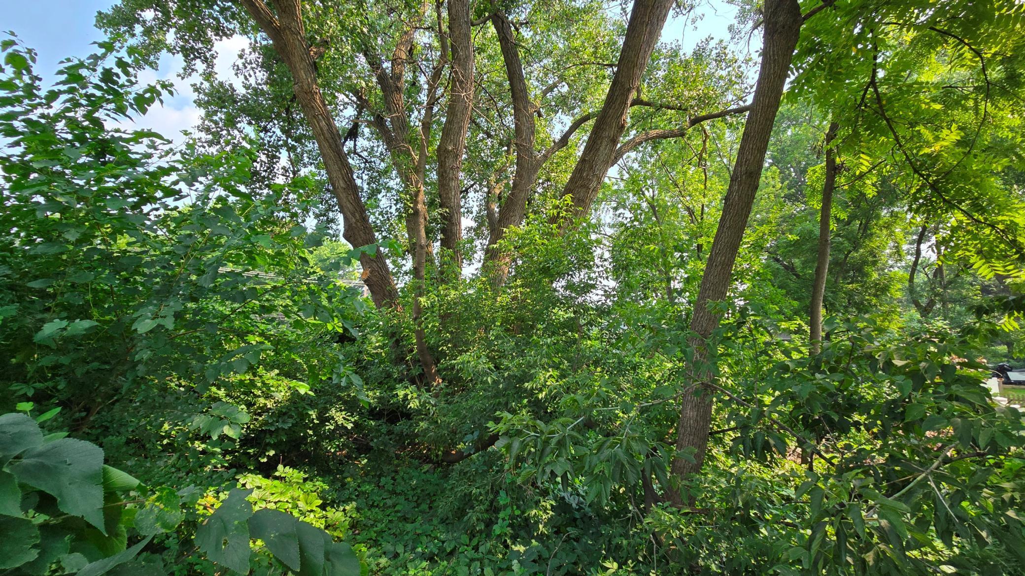 3949 Douglas Drive North Crystal, MN 55427 - Photo 5 of 9