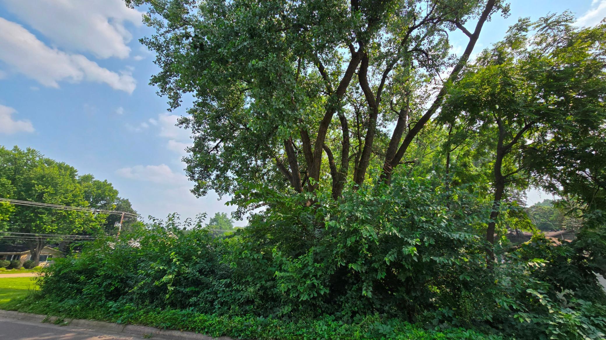 3949 Douglas Drive North Crystal, MN 55427 - Photo 6 of 9