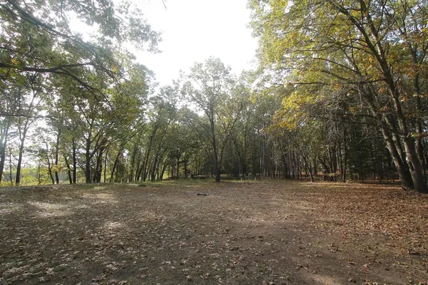 $128,000 | N5830 Oak Tree Acres, Princeton, WI 54968
