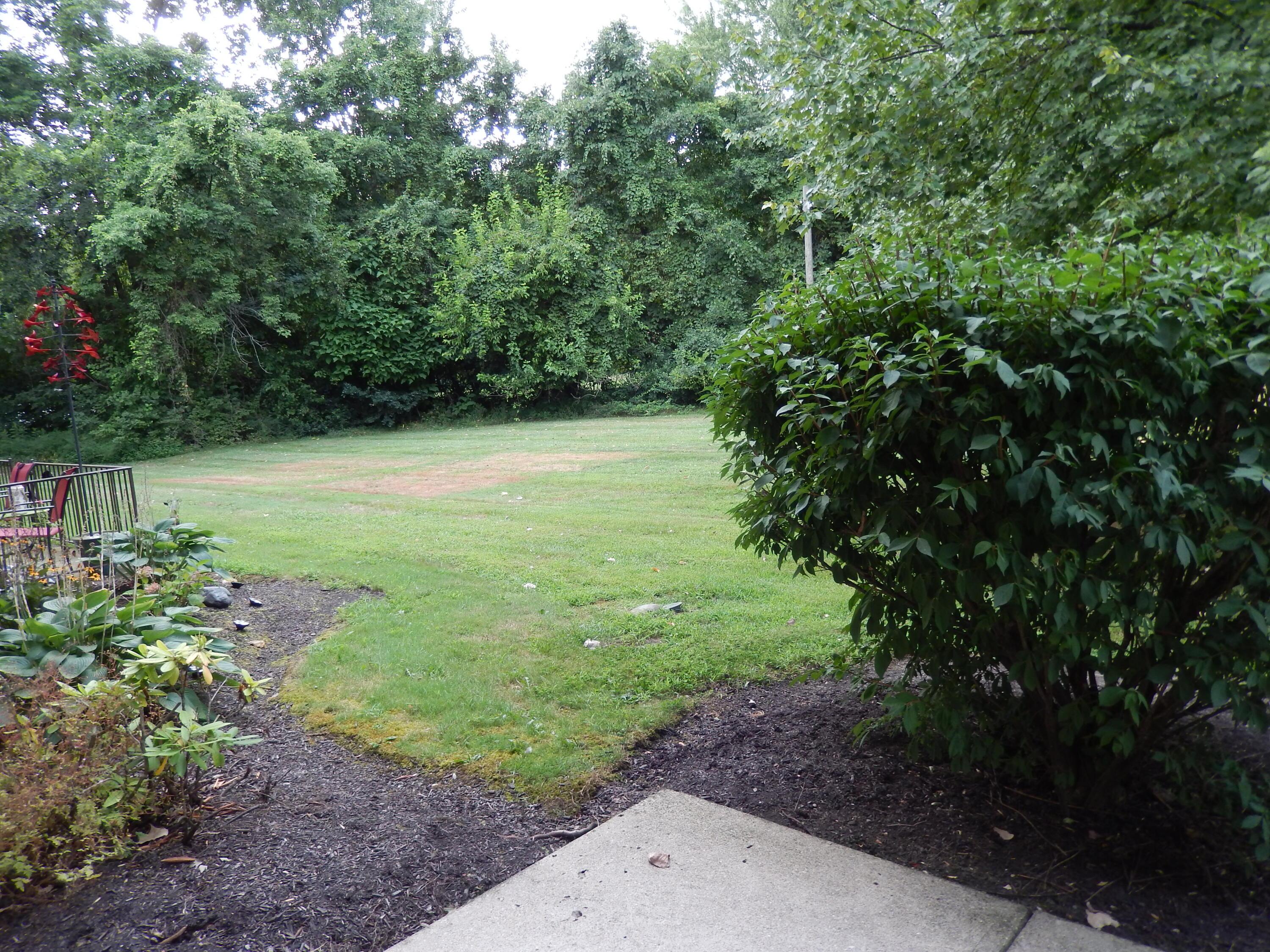 3939 Karl Road, Unit 122 Columbus, OH 43224 - Photo 46 of 57 Beautiful view of trees and grassy area