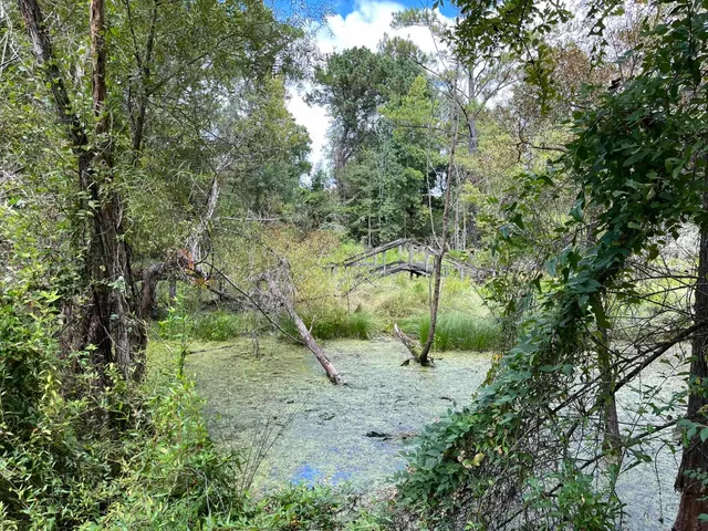 $45,000 | Xx Jetty Avenue, Quincy, FL 32351