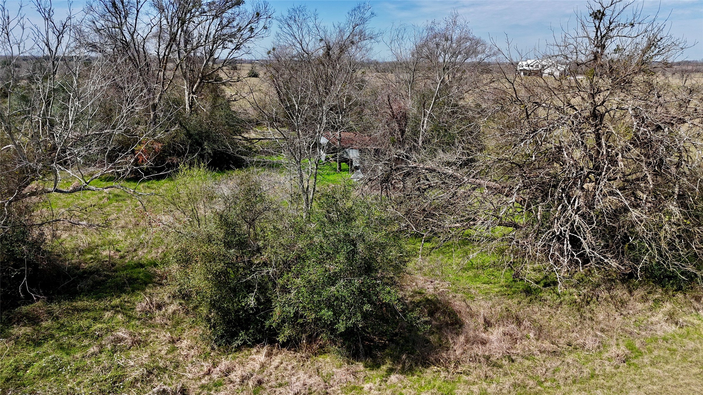 23579 Jones Road Hempstead, TX 77445 - Photo 11 of 12 a view of a yard with plants and a bench