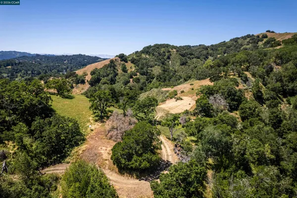 a view of a forest with mountains in the background