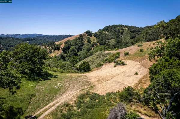 a view of a field with a tree in the background