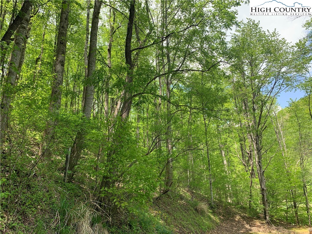 537 Simmons Road Deep Gap, NC 28618 - Photo 11 of 50 Gallery Image 11