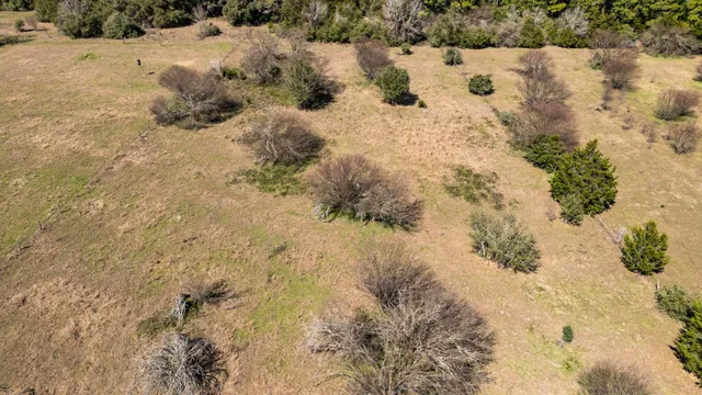 $426,000 | 209 Cr 209 Road, Weimar, TX 78962