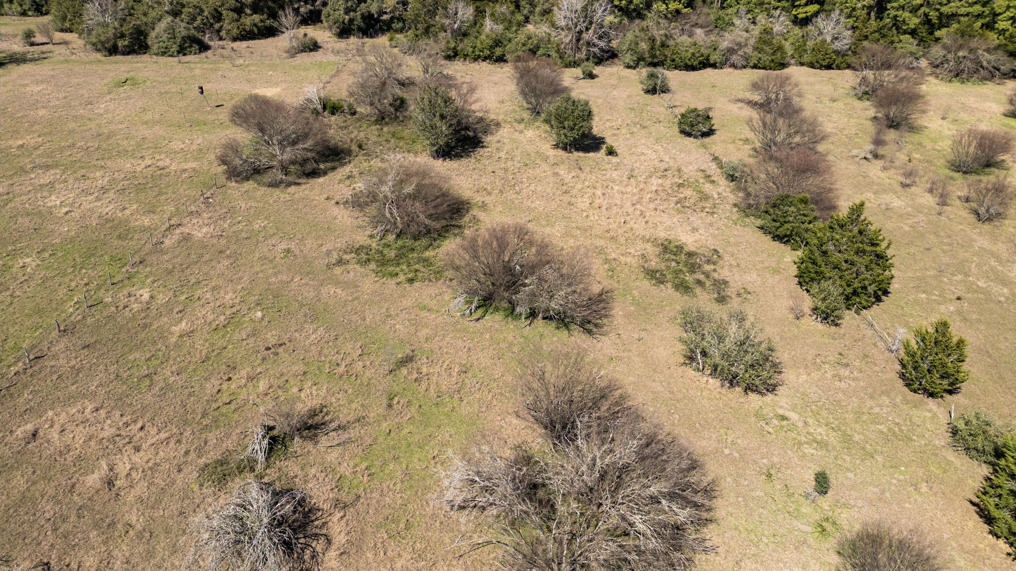 209 Cr 209 Road Weimar, TX 78962 - Photo 14 of 16 a view of a snow in between yard