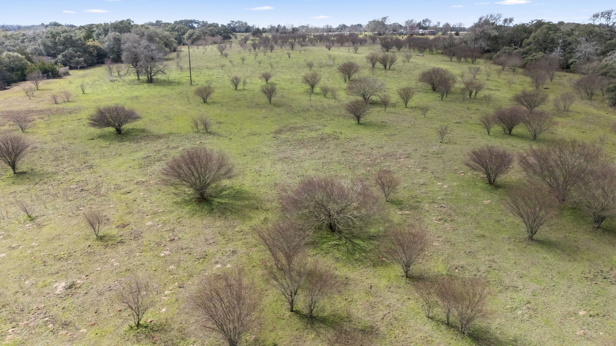 209 Cr 209 Road Weimar, TX 78962 - Photo 6 of 16 a view of a lake view