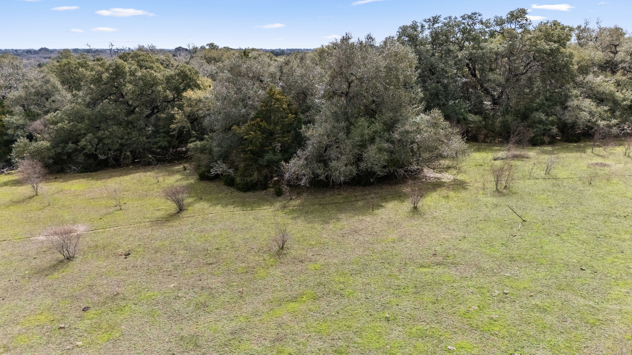 209 Cr 209 Road Weimar, TX 78962 - Photo 7 of 16