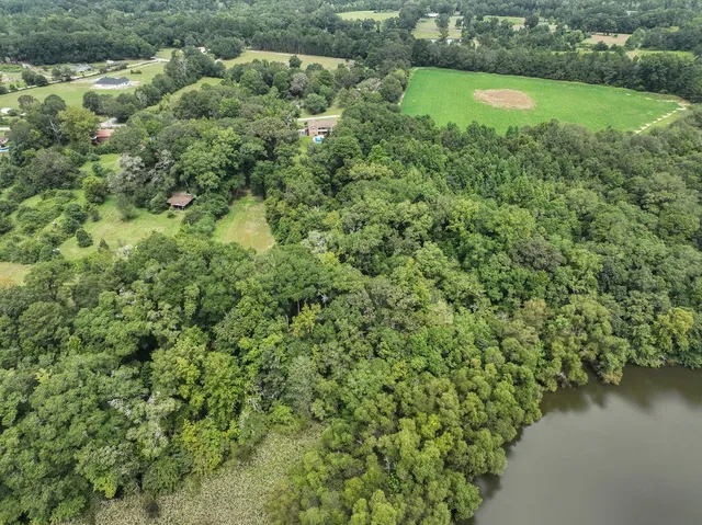 a view of a green yard
