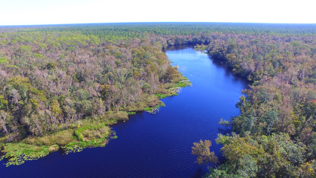 925 Hickory Hammock Road Carrabelle, FL 32322 - Photo 20 of 25 Gallery Image 20