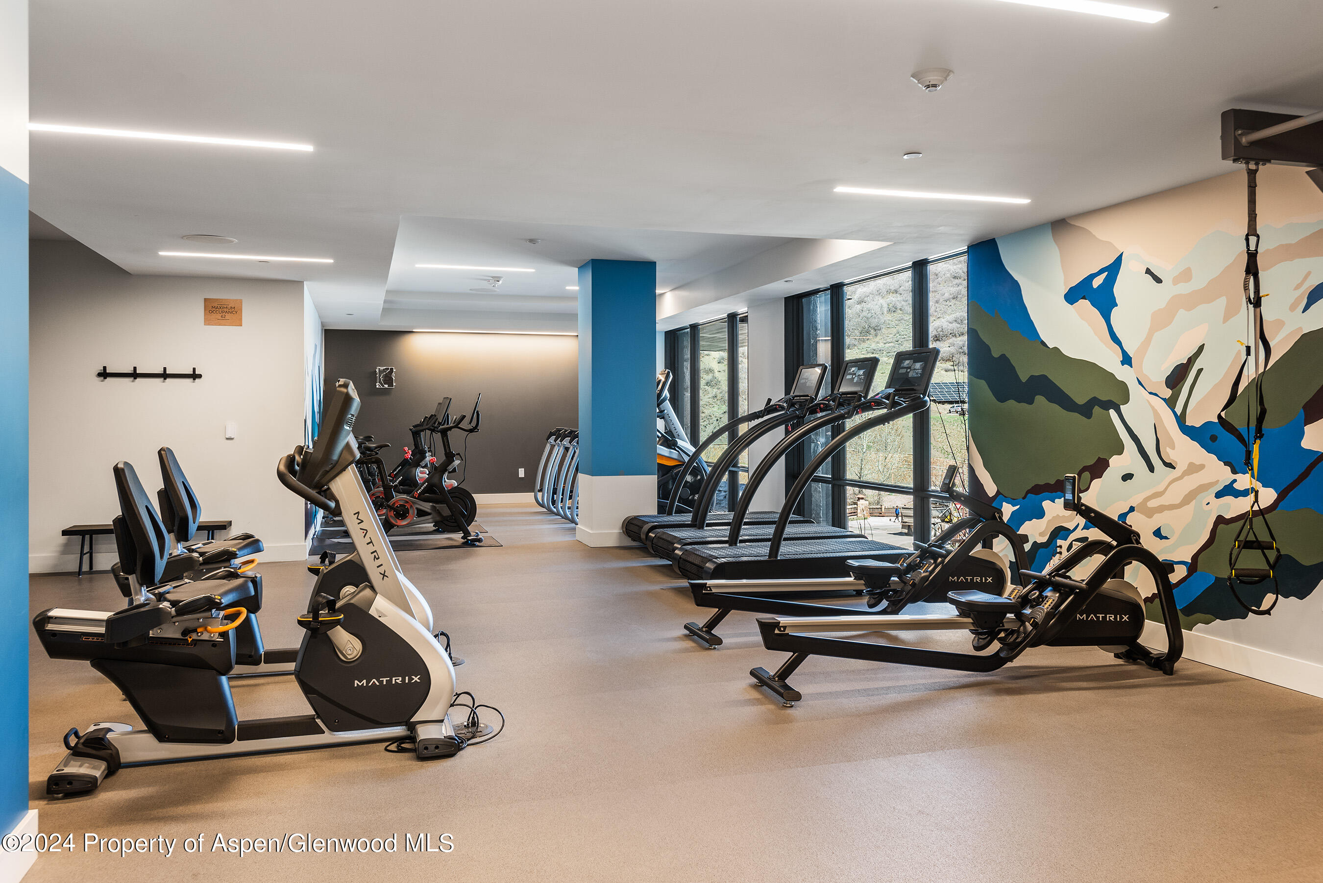 119 Wood Road, Unit 608 Snowmass Village, CO 81615 - Photo 28 of 28 SBV Fit