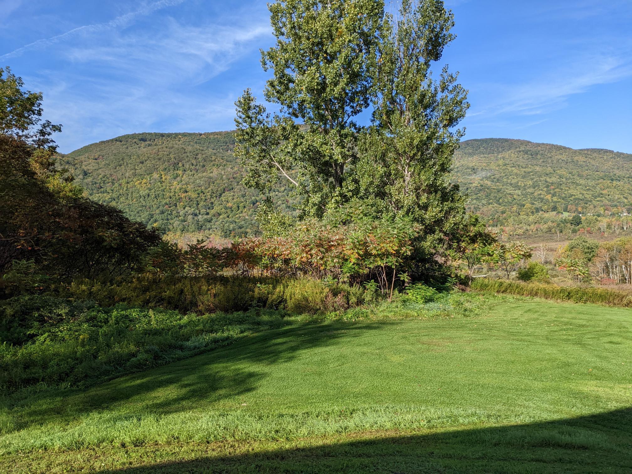 2199 Pleasant Street West Rutland, VT 05777 - Photo 5 of 18