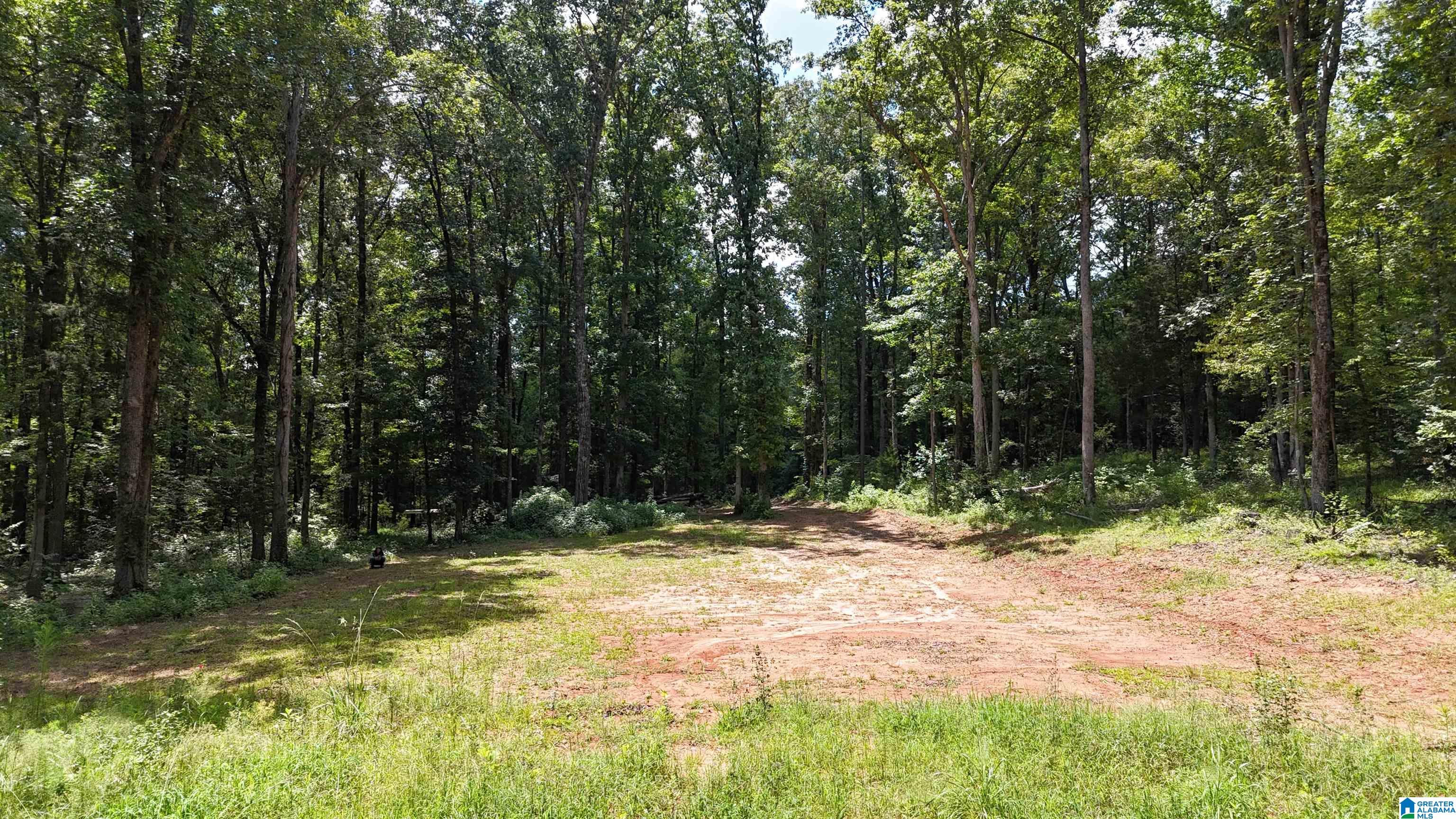 2170 Birmingham Road Centreville, AL 35042 - Photo 5 of 32