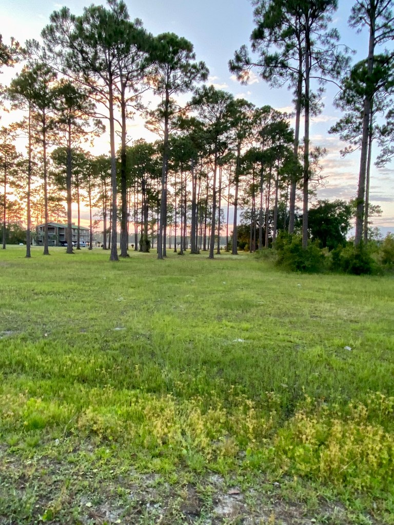 285 Rivers Crook Lane Carrabelle, FL 32322 - Photo 14 of 14 Gallery Image 14