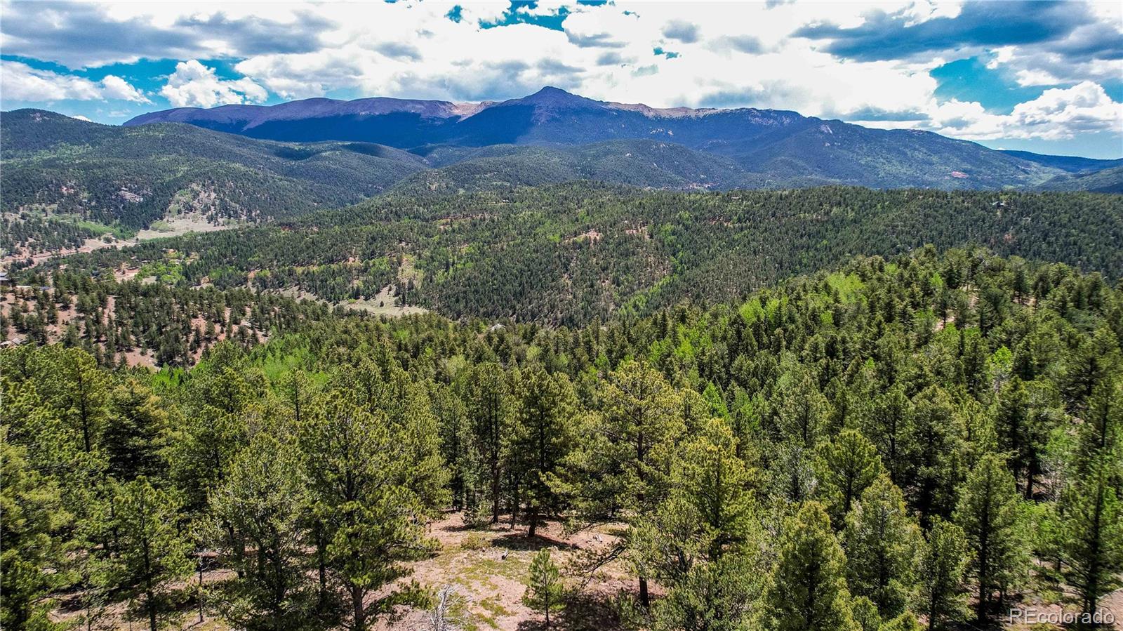 59 Robin Point Divide, CO 80814 - Photo 2 of 30 a view of a lush green hillside and a mountain